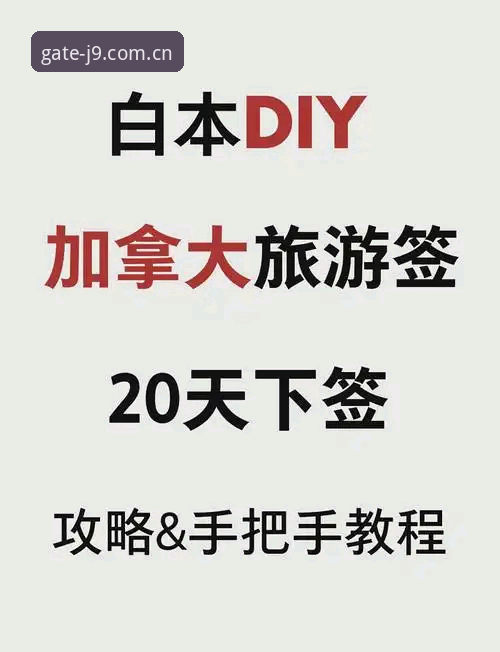 J9九游会平台实用指南：从下载到注册的完整经验分享